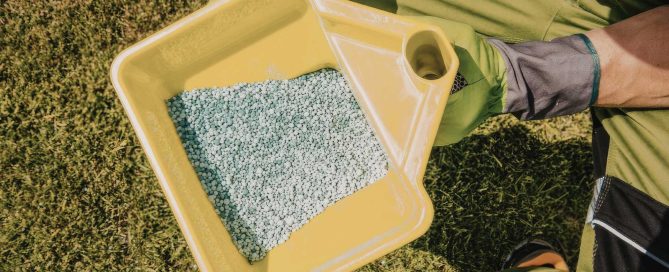 5 Simple Steps To Prepare Your Lawn For Winter - Turf Rain
