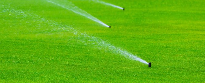 5 Reasons To Invest In An Irrigation System - Turf Rain