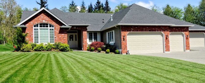 5 Tips to Achieve a Perfect Lawn - Turf Rain