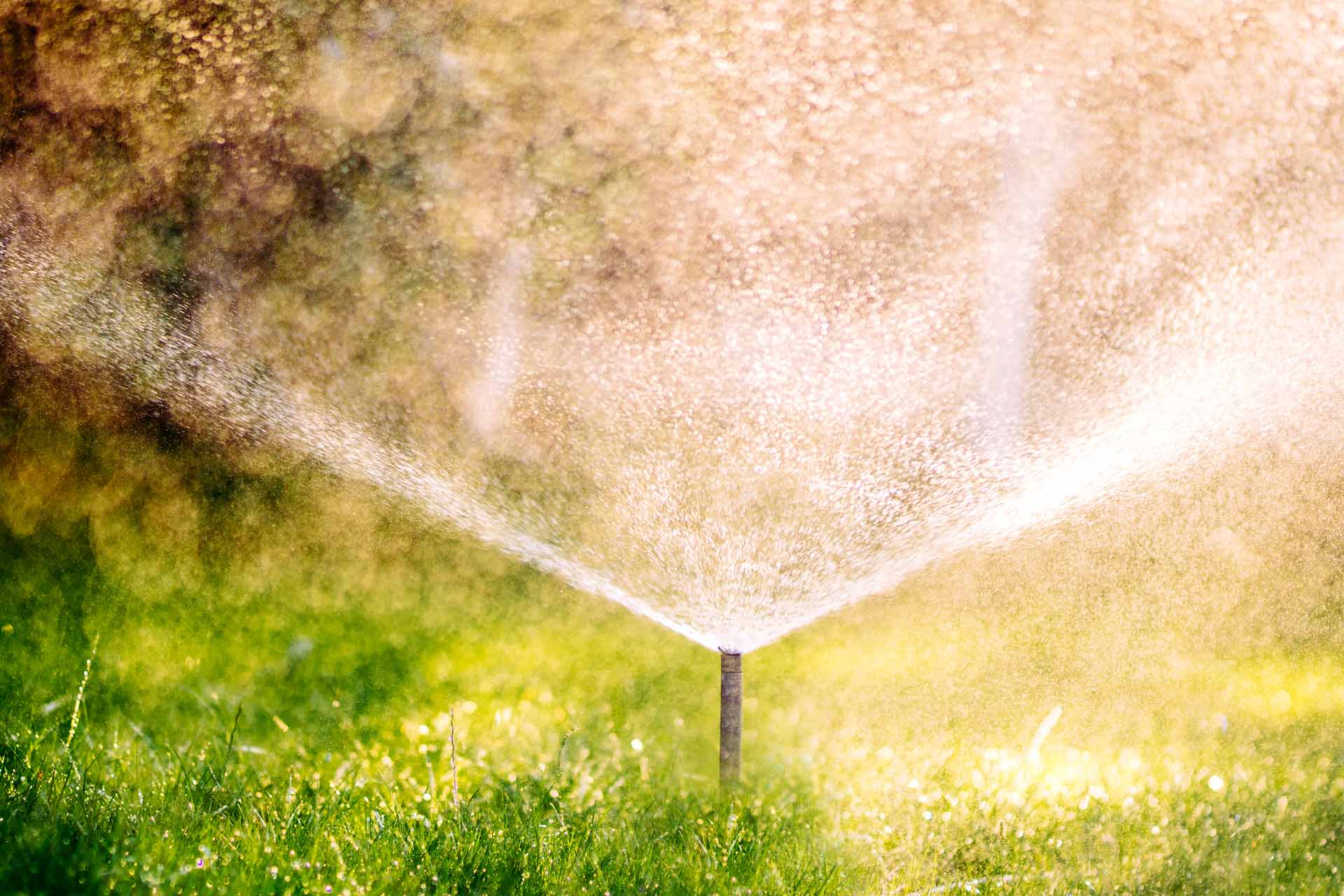 Unclogging Pop-Up Sprinkler Heads  South Austin Irrigation Repair Austin,  Dripping Springs, Buda, Wimberley Tx