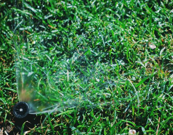 When to Stop Watering Your Lawn in The Fall?