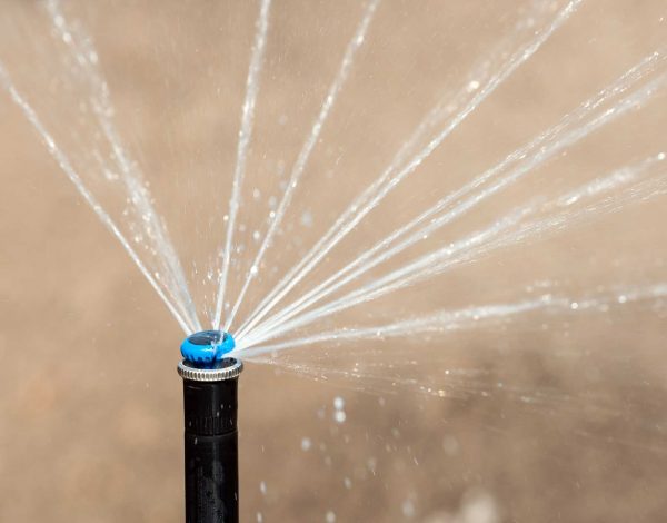 What Happens If You Don't Winterize Sprinklers?