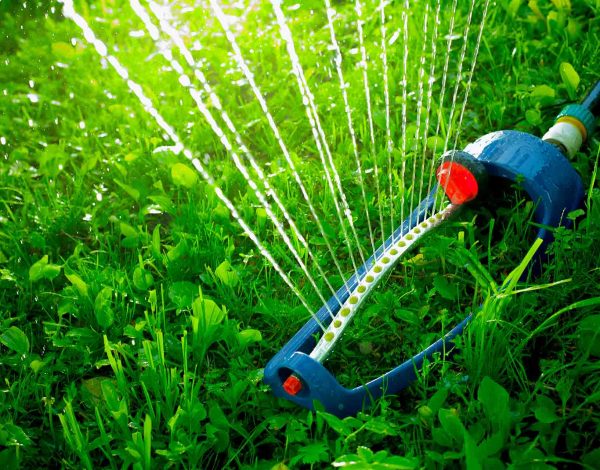 How To Adjust Your Irrigation System For Fall?