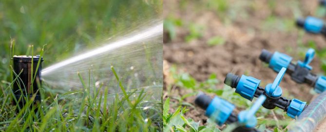 Drip vs. Spray Irrigation Which is Better for Lawns - Turf Rain