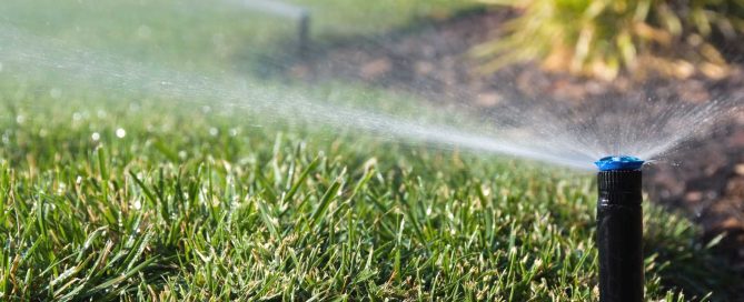 DIY Winterization: Pros and Cons Every Lawn-Loving Homeowner Should Know - Turf Rain
