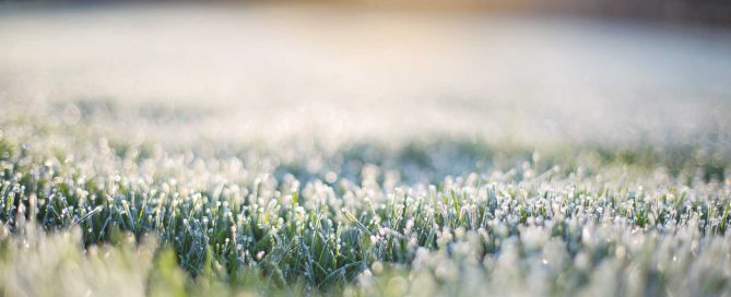 Should I Winterize Before the First Frost? Do This 2–4 Weeks Ahead for a Stress‑Free Lawn - Turf Rain