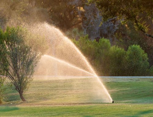 5 Smarter Ways to Winterize Sprinklers: Compressed Air vs Antifreeze (No Risky Shortcuts)