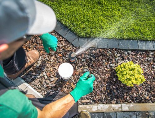 5 smart signs it’s time to schedule professional irrigation winterization (before a hard freeze ruins your day)