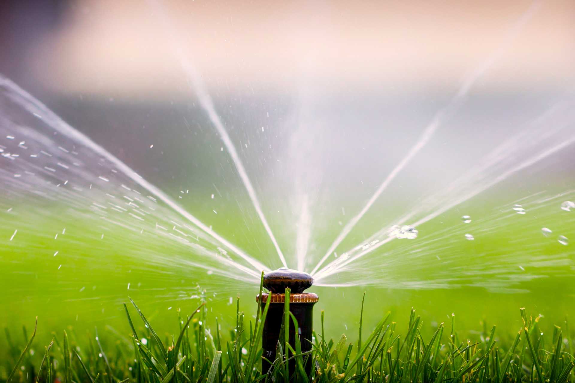 How to Check for Leaks After Winterization (Without Digging Up Your Yard) - Turf Rain