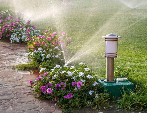 How to restart your irrigation system in spring without surprises?