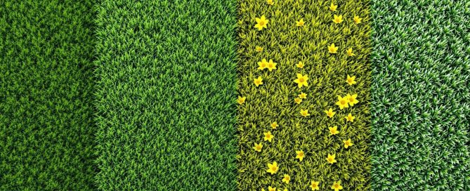 Seasonal Lawn Care Checklist - Turf Rain
