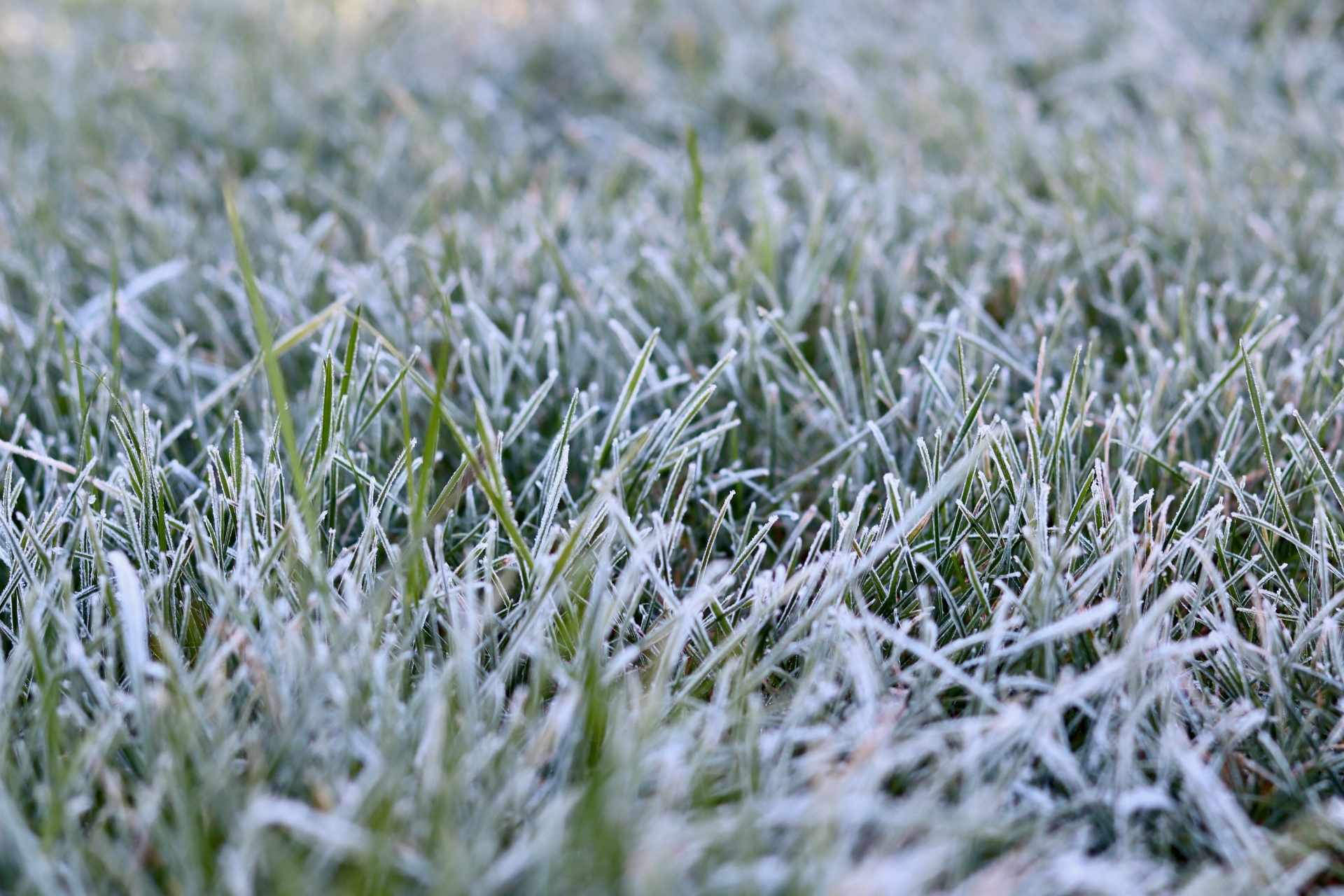 Sprinkler winterization
