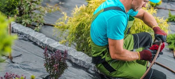 Things to Consider before Installing an Irrigation System - Turf Rain