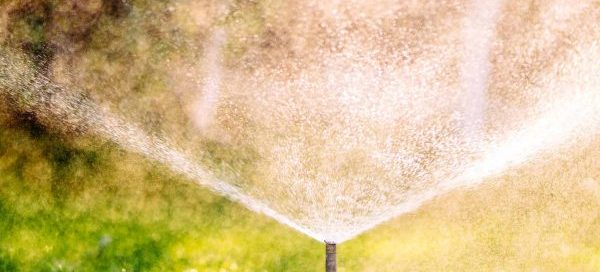 What Are The Advantages Of A Sprinkler Irrigation System? - Turf Rain