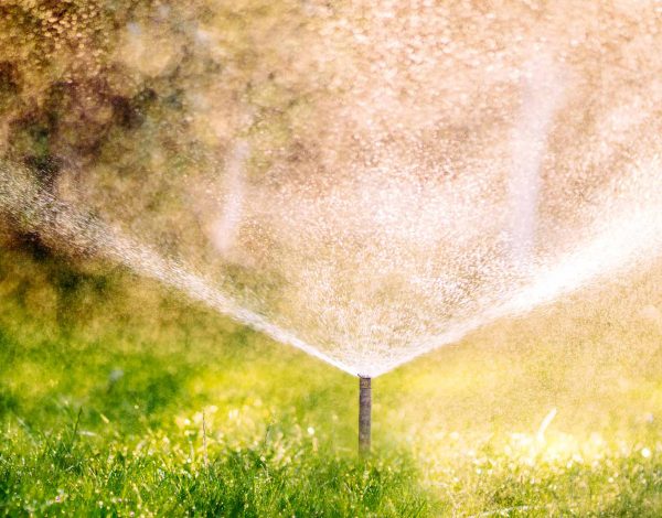 What Are The Advantages Of A Sprinkler Irrigation System? - Turf Rain