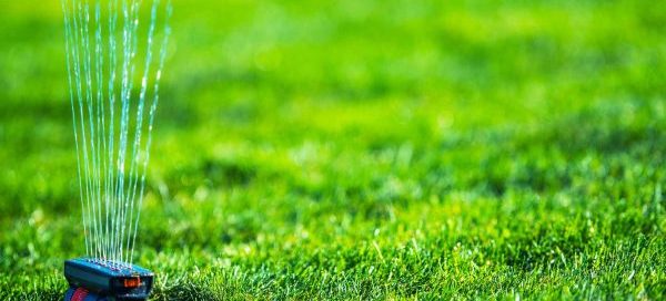 How Can I Make My Grass Thicker And Greener? - Turf Rain