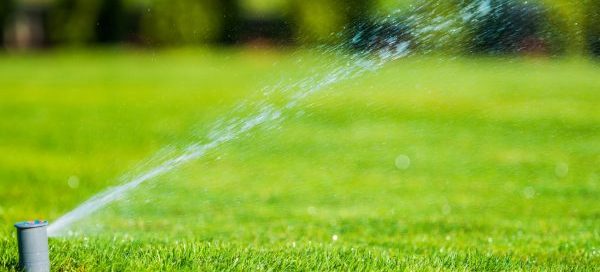 5 Tips To Help You Have A Greener And Healthier Lawn - Turf Rain