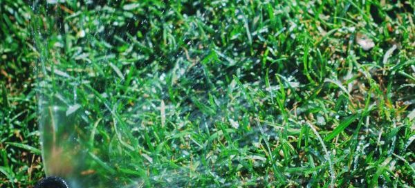 When to Stop Watering Your Lawn in The Fall? - Turf Rain