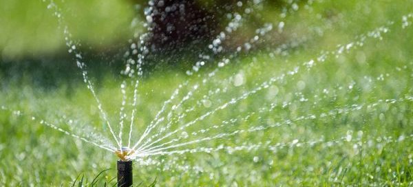 How to Keep Your Grass Green During the Summer Months? - Turf Rain