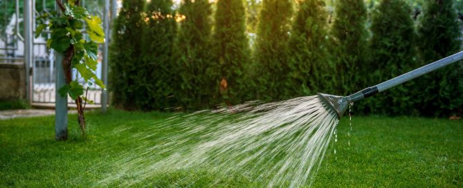 Drowning Your Turf: The Hidden Signs of Overwatering (And Why Manual Watering is Ruining Your Lawn) - Turf Rain