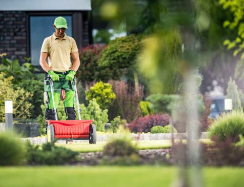 Root Security: How Fall Fertilization and System Winterization Protect Your Canadian Lawn