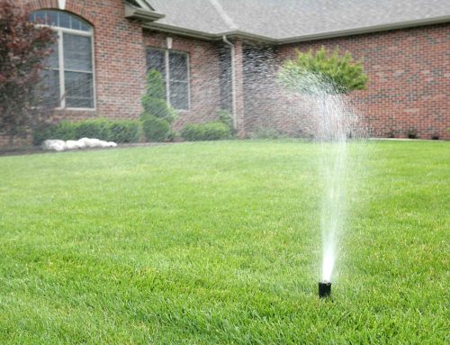 Protecting Your Landscape Investment: Why Professional Sprinkler Blowouts Are Mandatory Before Winter